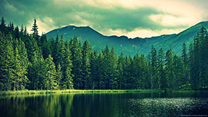 a lake, trees, and mountains